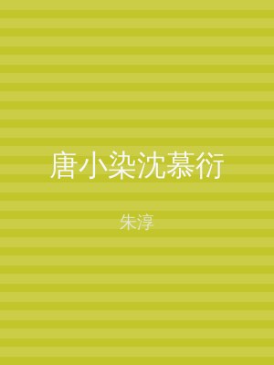唐小染沈慕衍