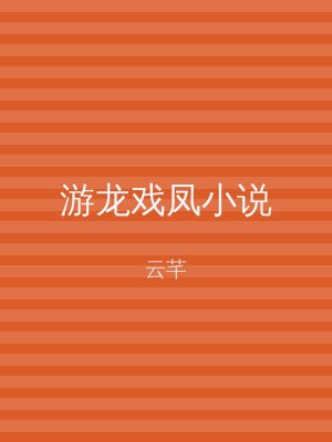 游龙戏凤小说