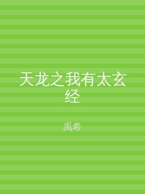 天龙之我有太玄经
