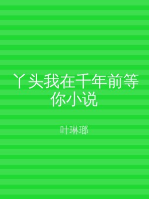 丫头我在千年前等你小说