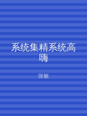 系统集精系统高嗨
