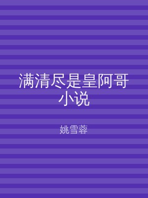 满清尽是皇阿哥小说