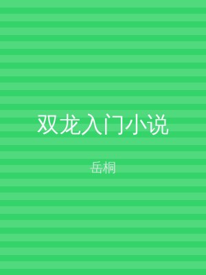 双龙入门小说