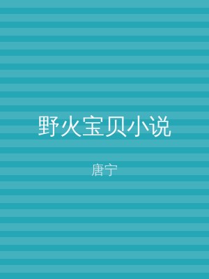 野火宝贝小说