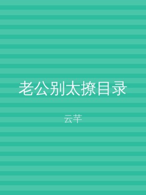 老公别太撩目录