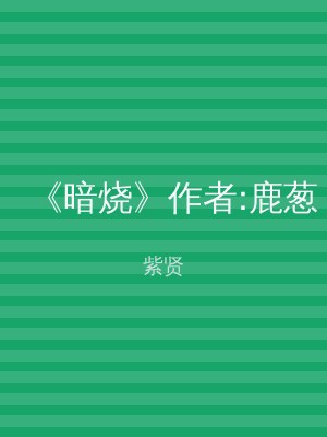 《暗烧》作者:鹿葱