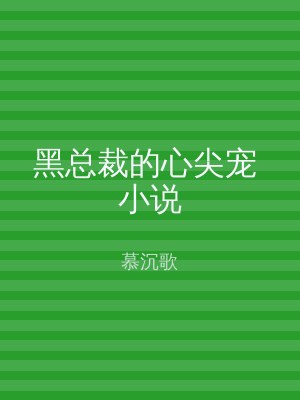 黑总裁的心尖宠 小说
