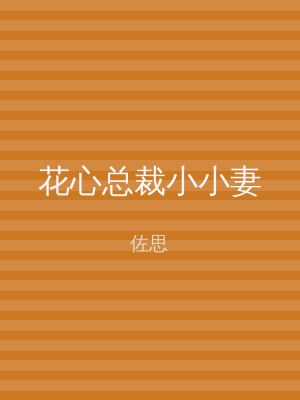 花心总裁小小妻