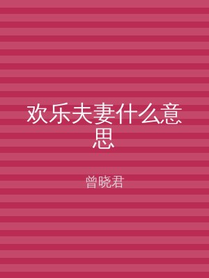 欢乐夫妻什么意思