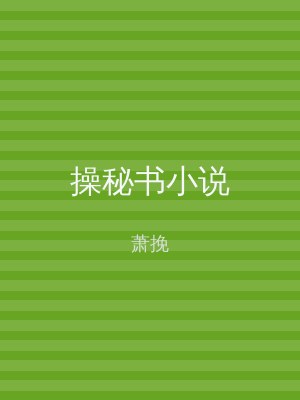 操秘书小说