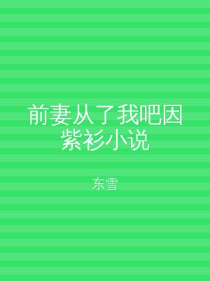 前妻从了我吧因紫衫小说