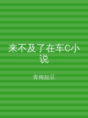 来不及了在车C小说