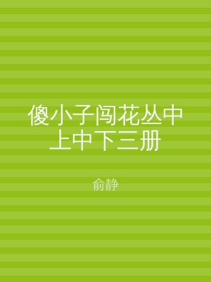 傻小子闯花丛中上中下三册