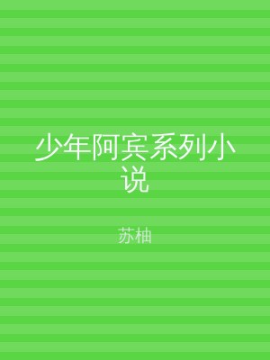 少年阿宾系列小说