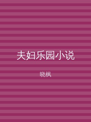 夫妇乐园小说