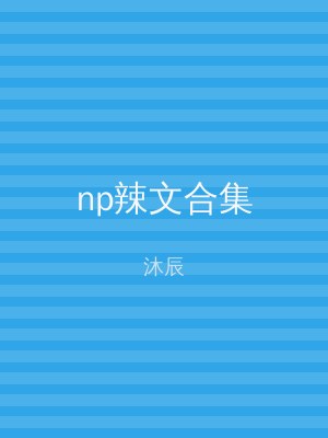 np辣文合集
