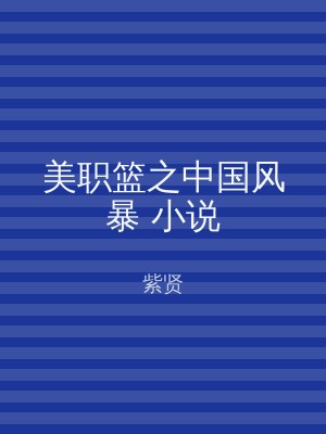 美职篮之中国风暴 小说