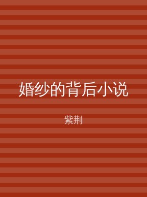 婚纱的背后小说
