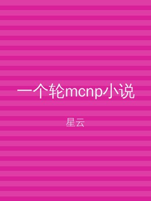 一个轮mcnp小说
