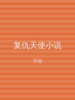 复仇天使小说
