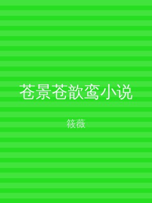 苍景苍歆鸾小说