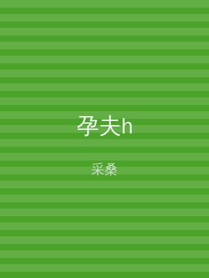 孕夫h