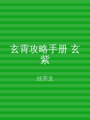 玄霄攻略手册 玄紫