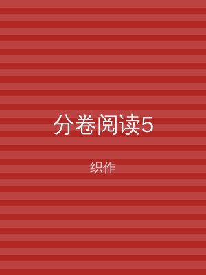 分卷阅读5