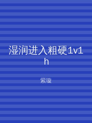 湿润进入粗硬1v1h