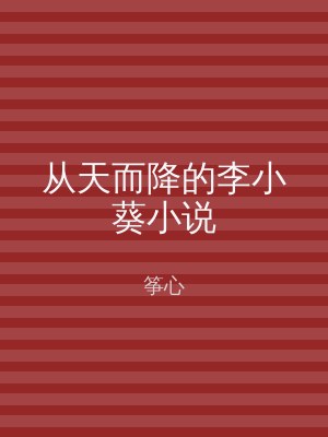 从天而降的李小葵小说