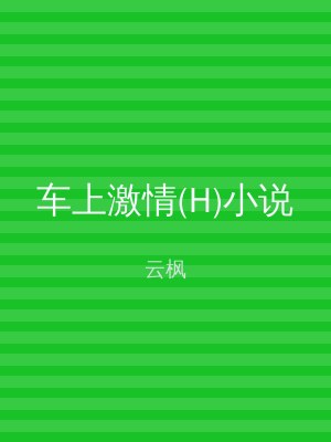 车上激情(H)小说
