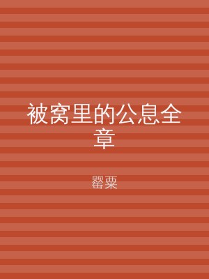 被窝里的公息全章