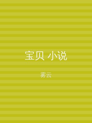 宝贝 小说